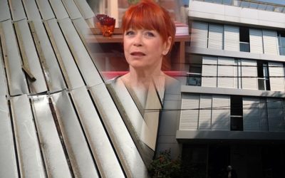 Evo koliko će da traje oporavak Nede Arnerić i sa kakvim tačno posledicama se suočava!